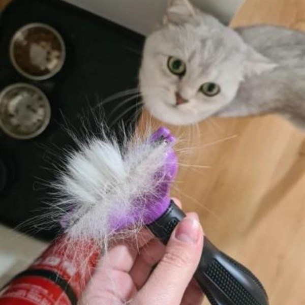 BUFFER® Kısa Tüylü Kedi Tarağı 4.5 KG ye Kadar