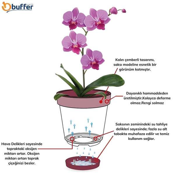 BUFFER® Plastik 2,3 Lt Kapasiteli Hava Delikli Alt Tabaklı Şeffaf Orkide Çiçek Saksısı