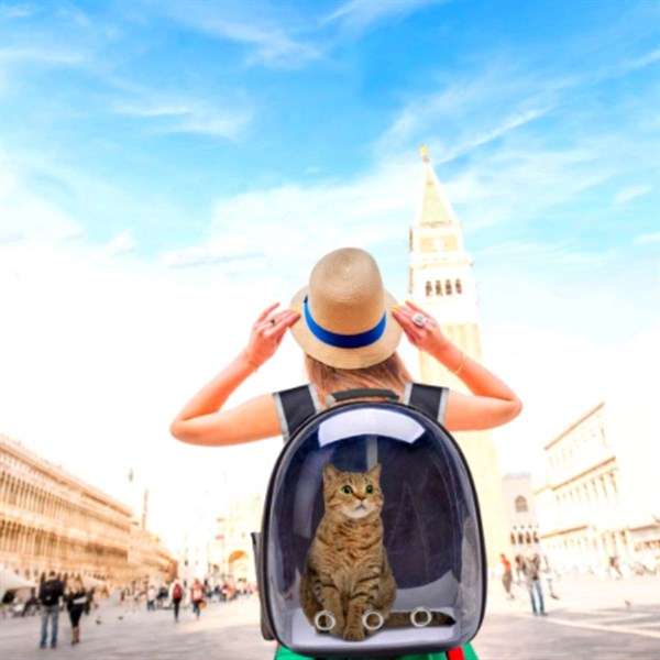 BUFFER® Şeffaf Astronot Kapsül Kedi Köpek Seyahat Yolculuk Fermuarlı Hava Alan Taşınabilir Sırt Çantası