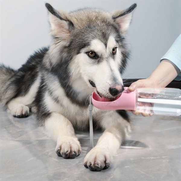 BUFFER® Taşınabilir Evcil Hayvan Suluğu Seyahat Kabı Kilitlenebilen Su Sızdırmaz Kap 350 ml